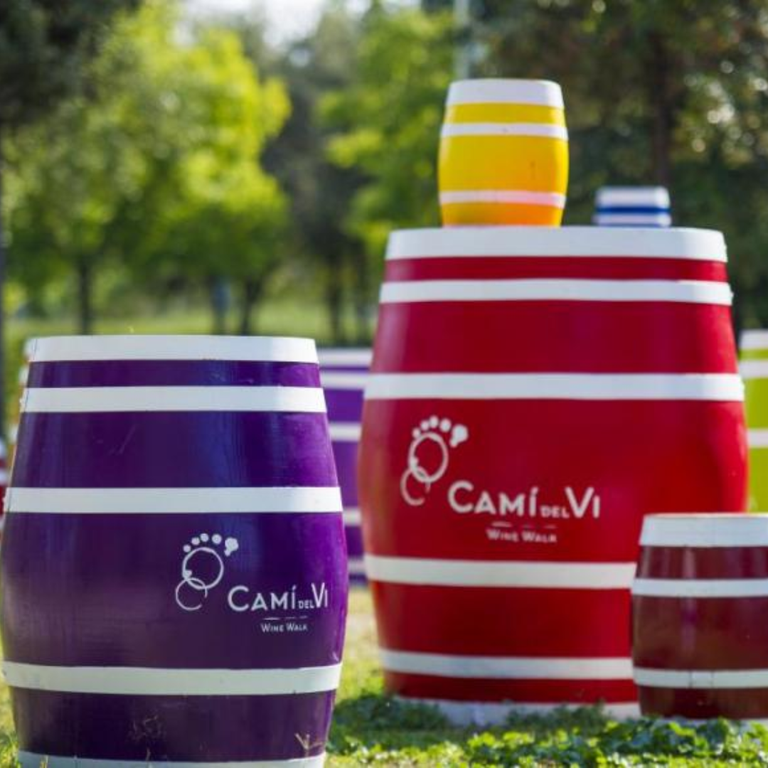 Camí del vi