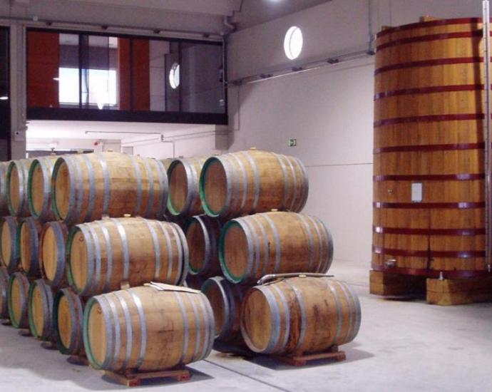 Cellers i Caves