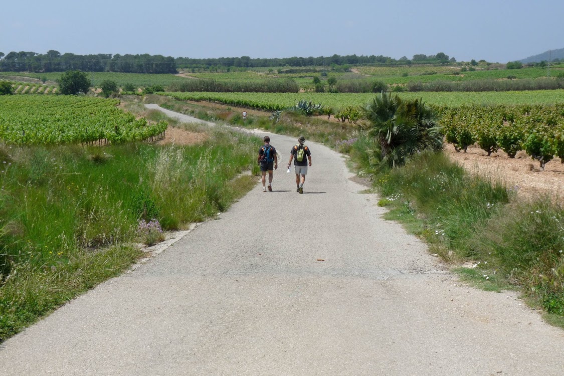 Camí de Sant Jaume