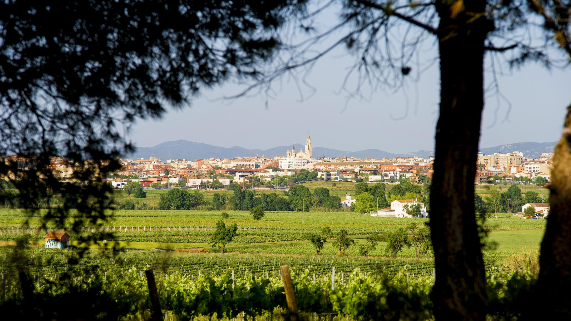 Paisatge Vilafranca