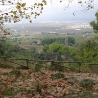 Font del Cuscó