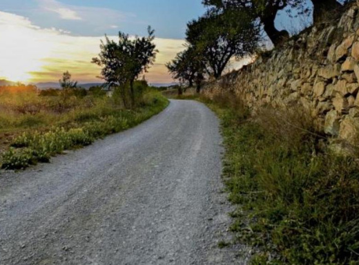 Camins