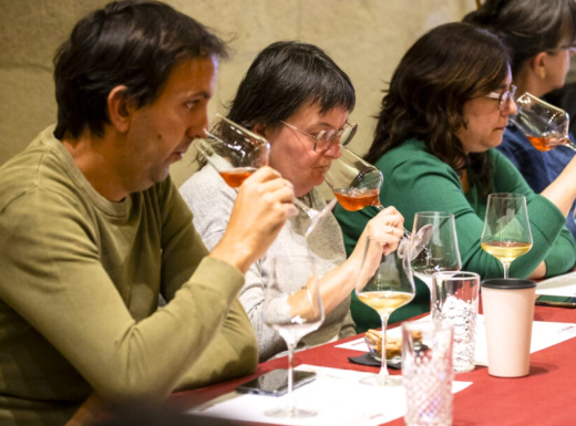 Tast - Vins de Festa Major I  