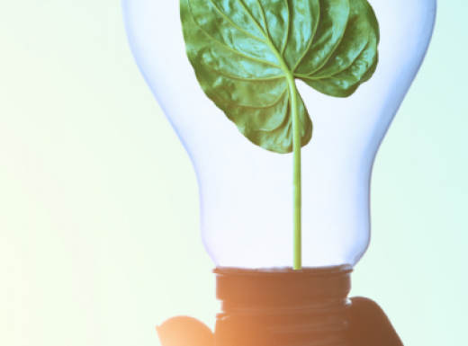 Taller d'assessorament energètic