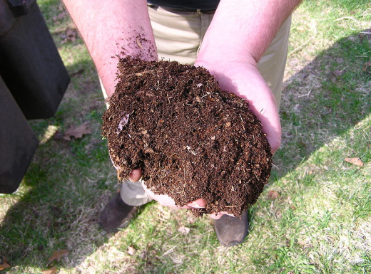 Compost