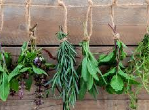 Aromàtiques