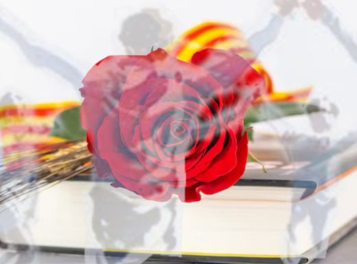 ballada de sardanes sant jordi
