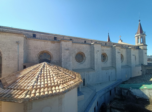 Visita teulades
