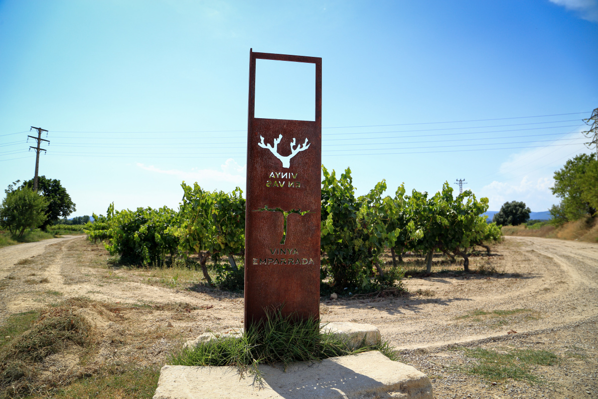 Camí del Vi 2