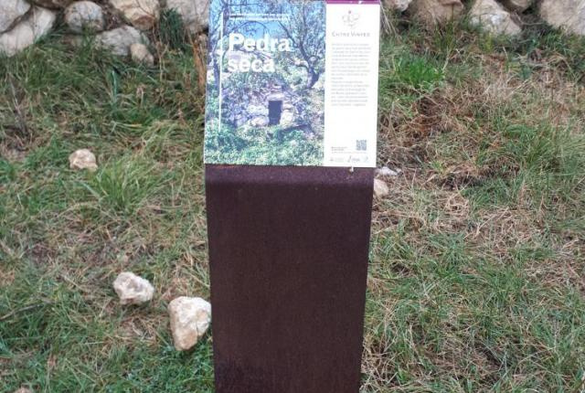Camí Entre vinyes