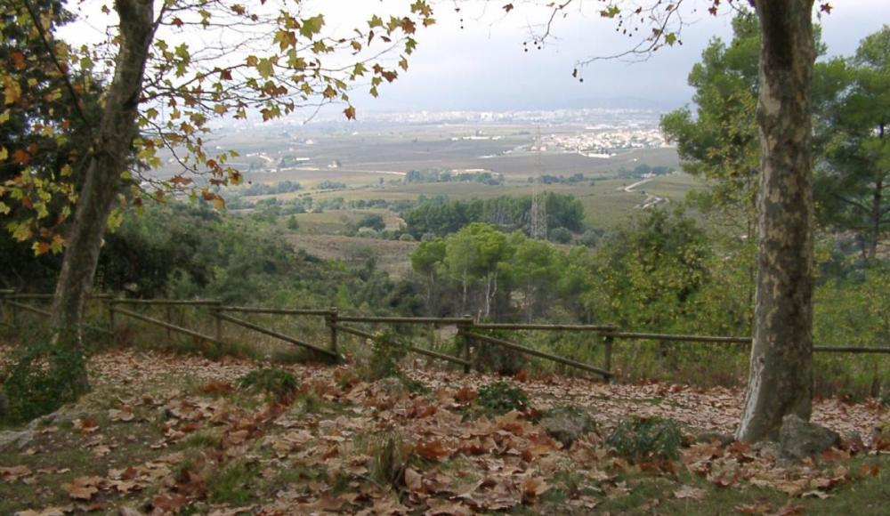 Font del Cuscó