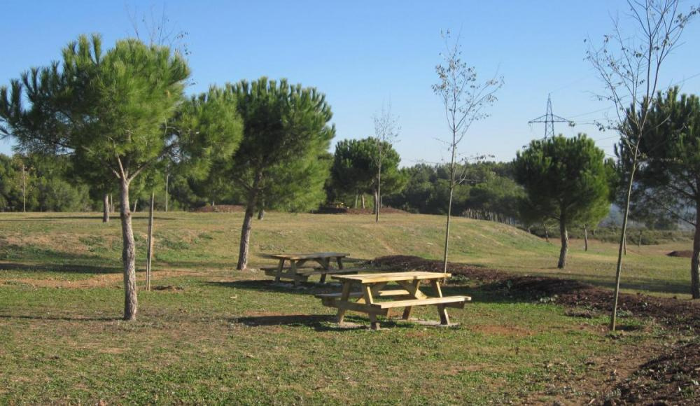 Muntanyeta