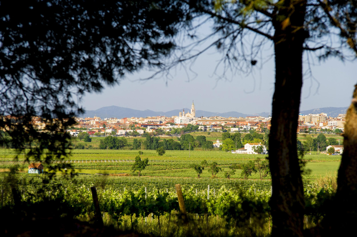 Paisatge Vilafranca