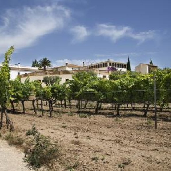 Can Ràfols dels Caus