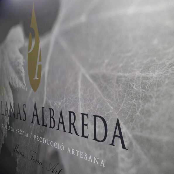Planas Albareda