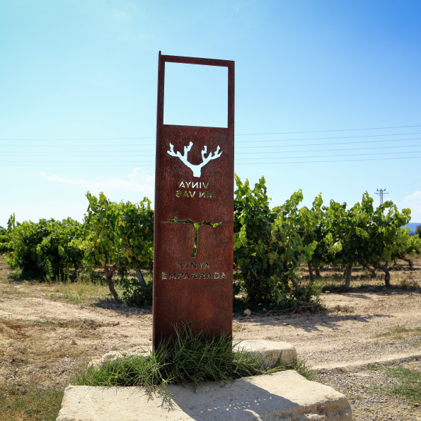 Camí del Vi 2