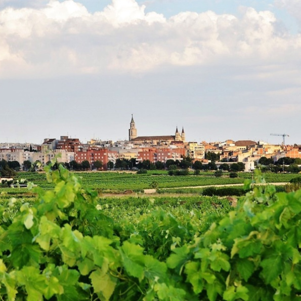 Un dia a Vilafranca