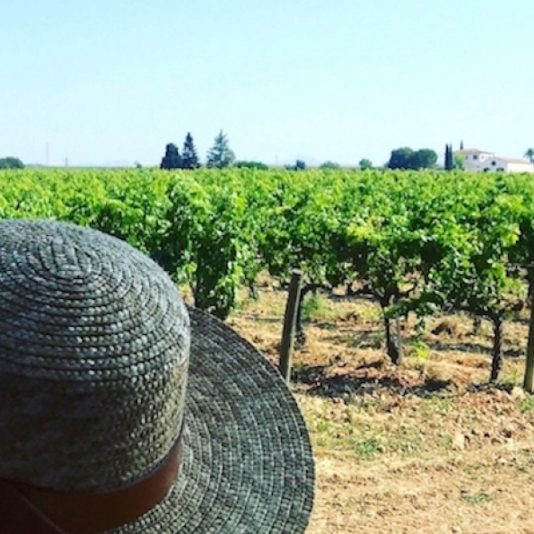 Top Wine Exeprience - Slow and Cheerful Wine Tourism